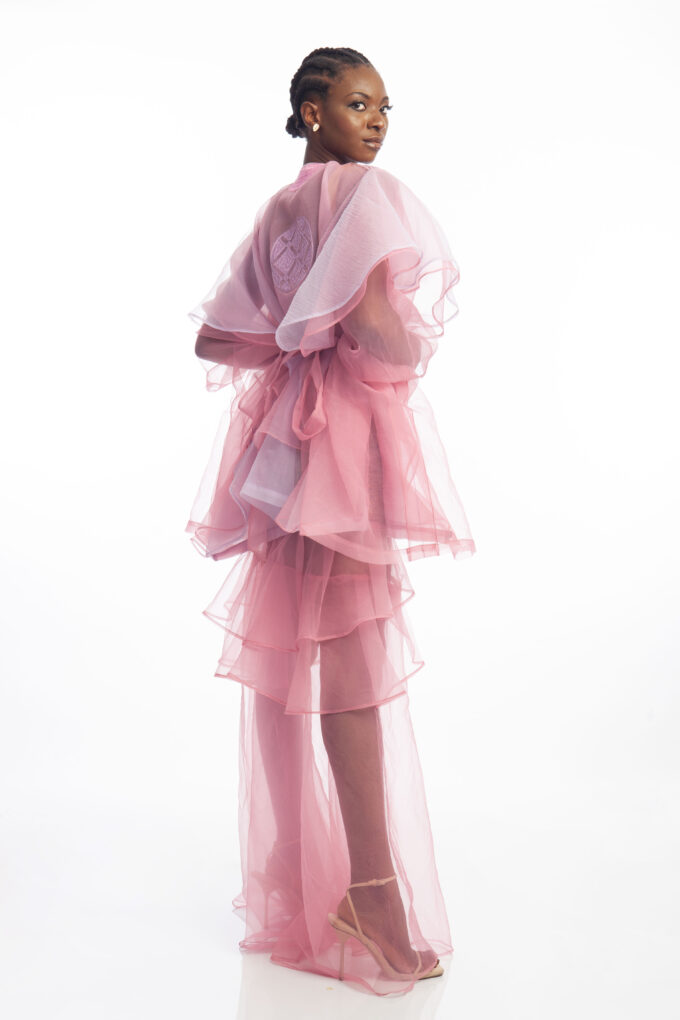 Ayeeesha danashiki and Abi skirt