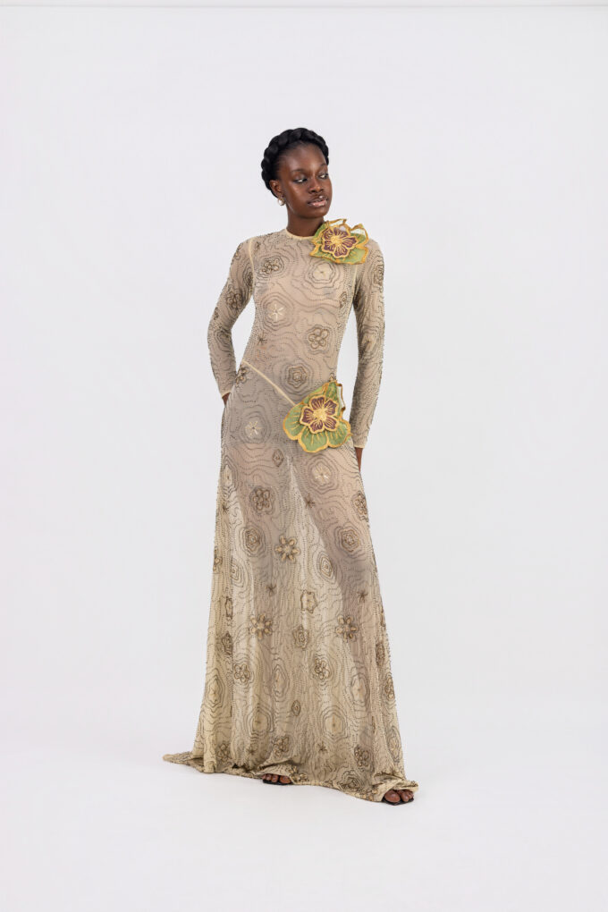 Nari dress